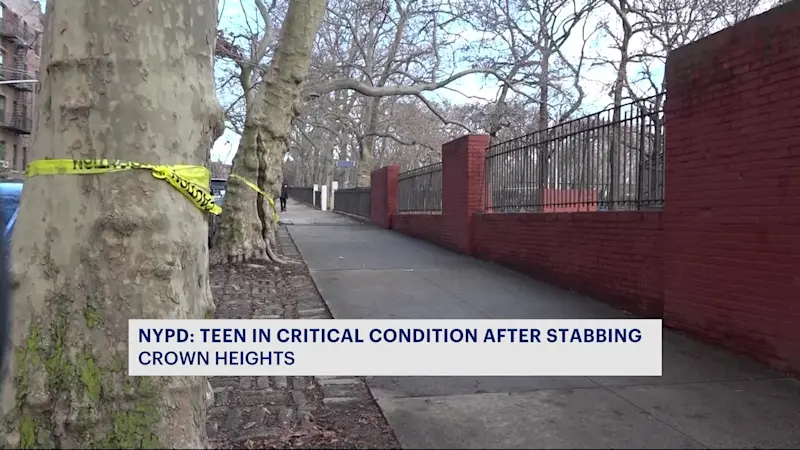 Story image: NYPD: 16-year-old stabbed in Lincoln Terrace Park in critical condition