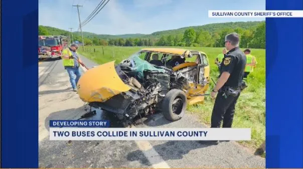 County manager: School bus driver dies in collision with another school bus