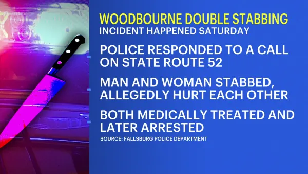 2 arrested for double stabbing incident in Woodbourne