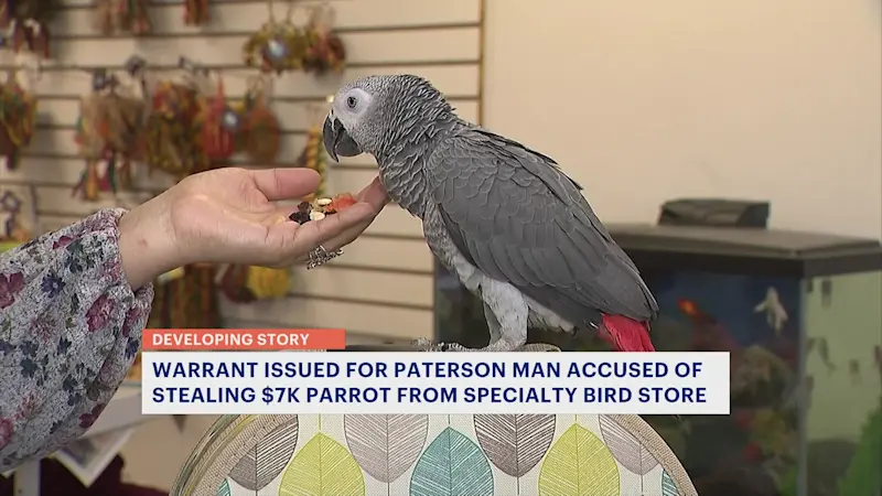 Story image: Stolen parrot found, returned to Saddle Brook shop; suspect identified 