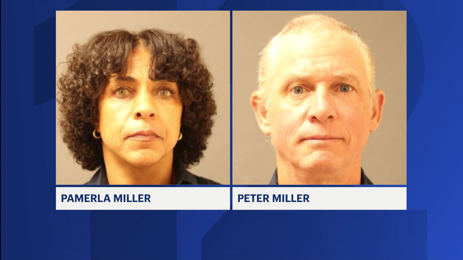 News 12 | New York | Suffolk DA: Man pleads guilty to criminally ...
