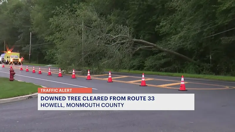 Story image: Downed tree cleared from Howell road