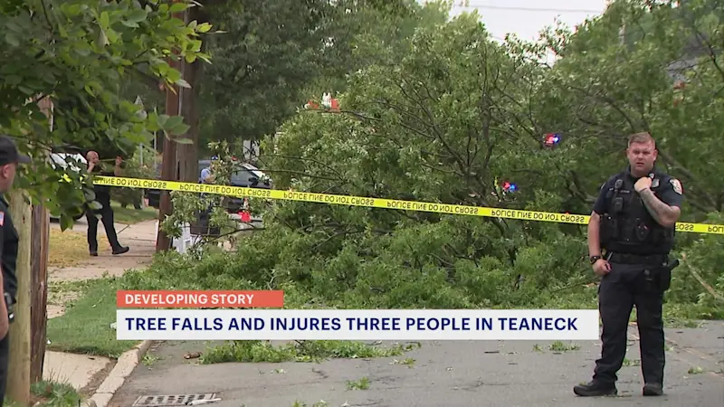 Story image: 3 people injured after tree falls on pedestrians and car in Teaneck