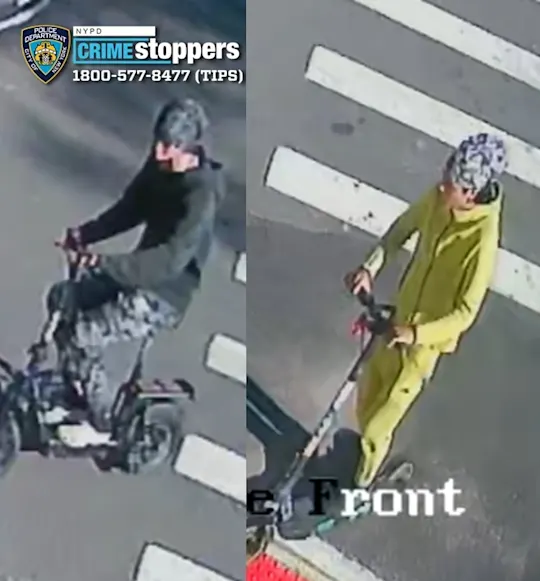 crotona park robbery