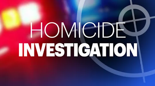 Homicide Investigation