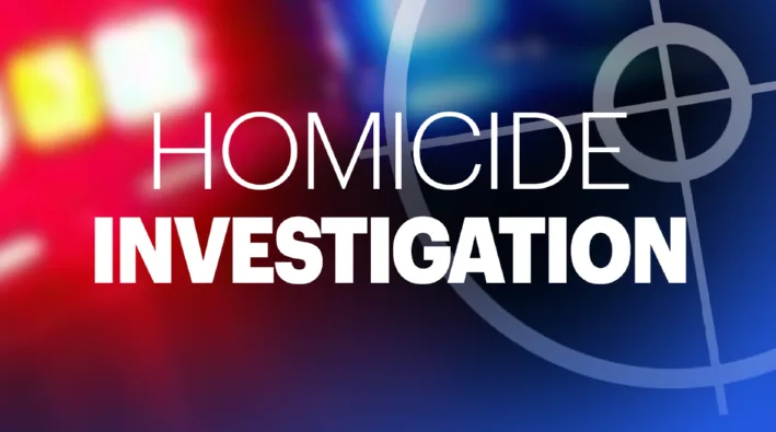 Homicide Investigation