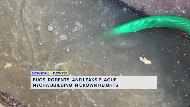 Story image: Flooded garbage room causes unbearable odor, roaches and mice for NYCHA residents