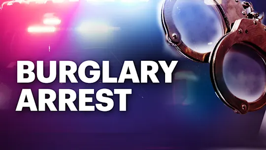 BURGLARY ARREST MONITOR copy