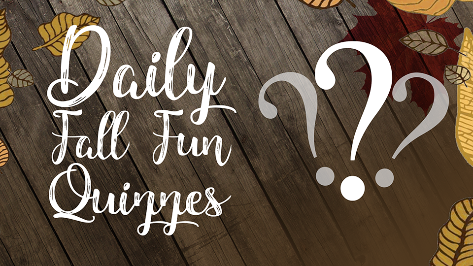 Article 135223 Thumbnail