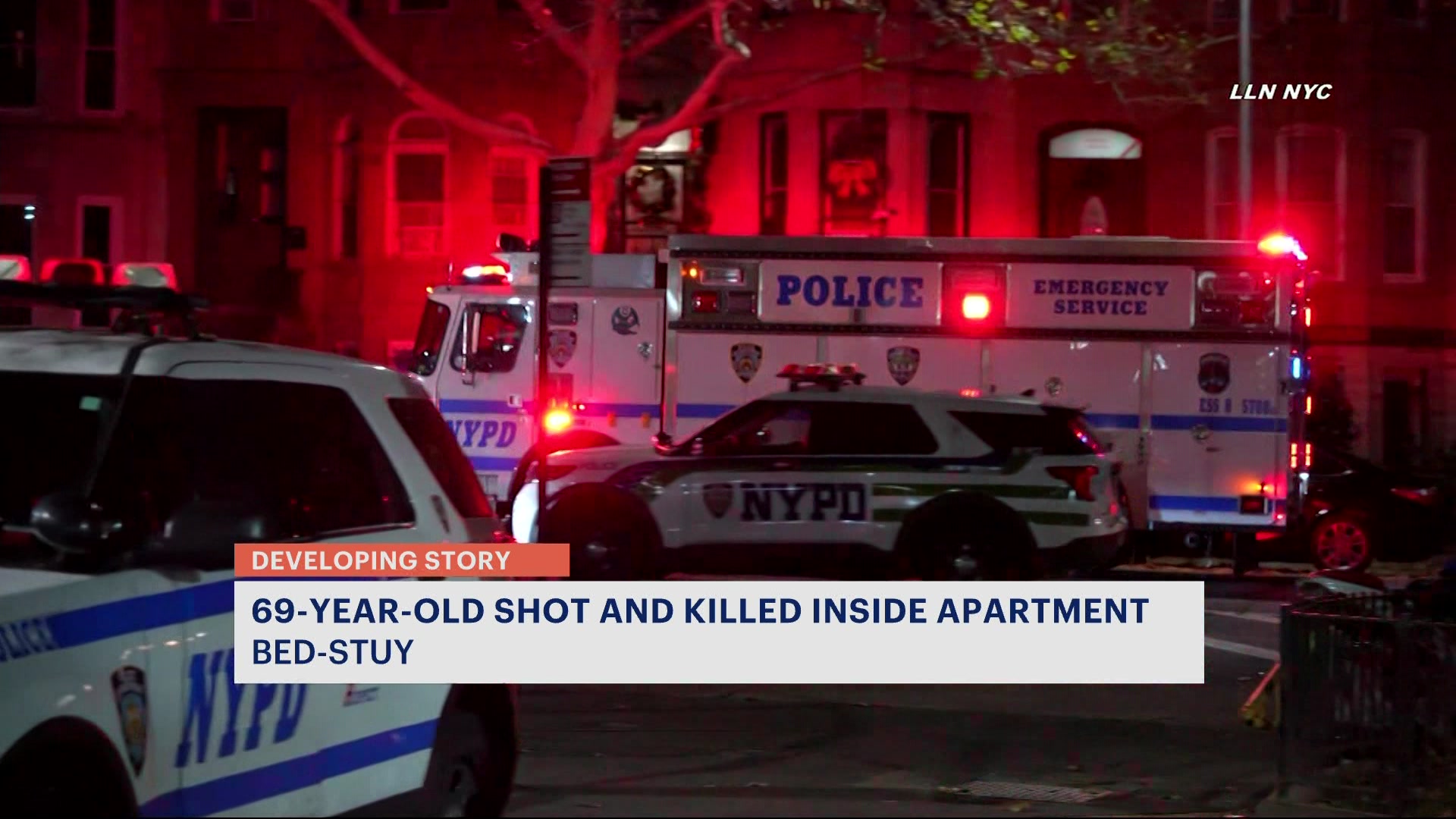 News 12 | Brooklyn | Police Id 69 Year Old Woman Shot To Death In Her ...