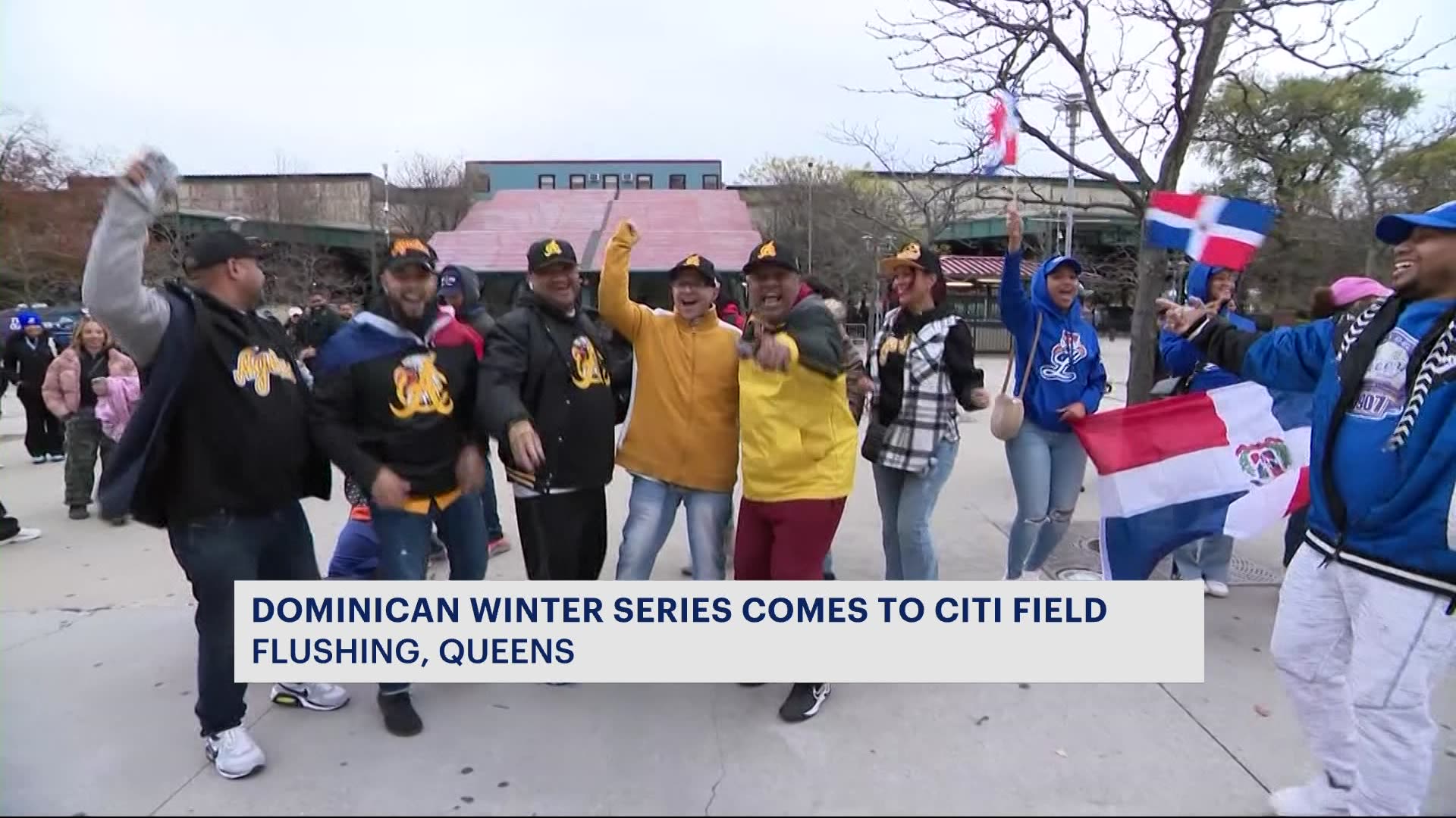 First Dominican Winter League series comes to Citi Field