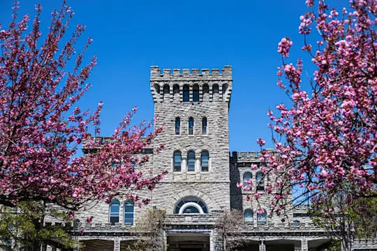 042621-drf-castleinbloom-02-1