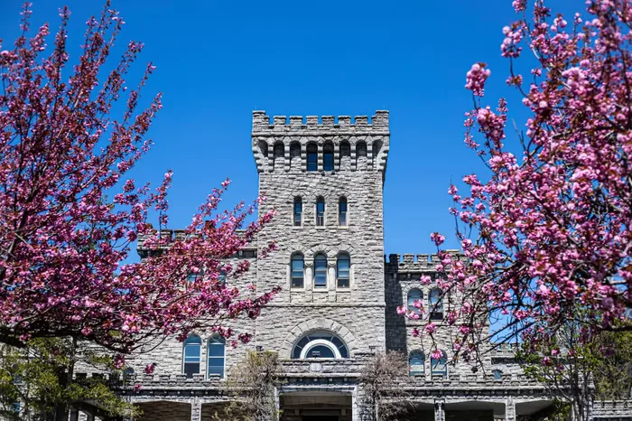 042621-drf-castleinbloom-02-1