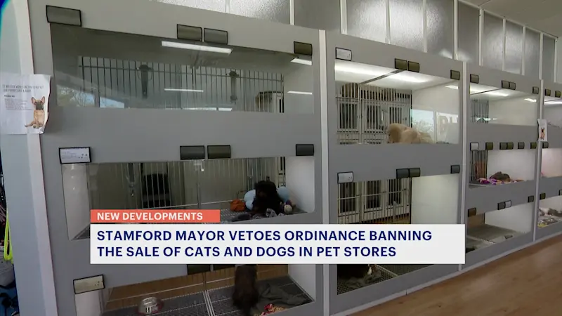 Story image: Stamford mayor vetoes ban that would have prohibited the sale of cats and dogs