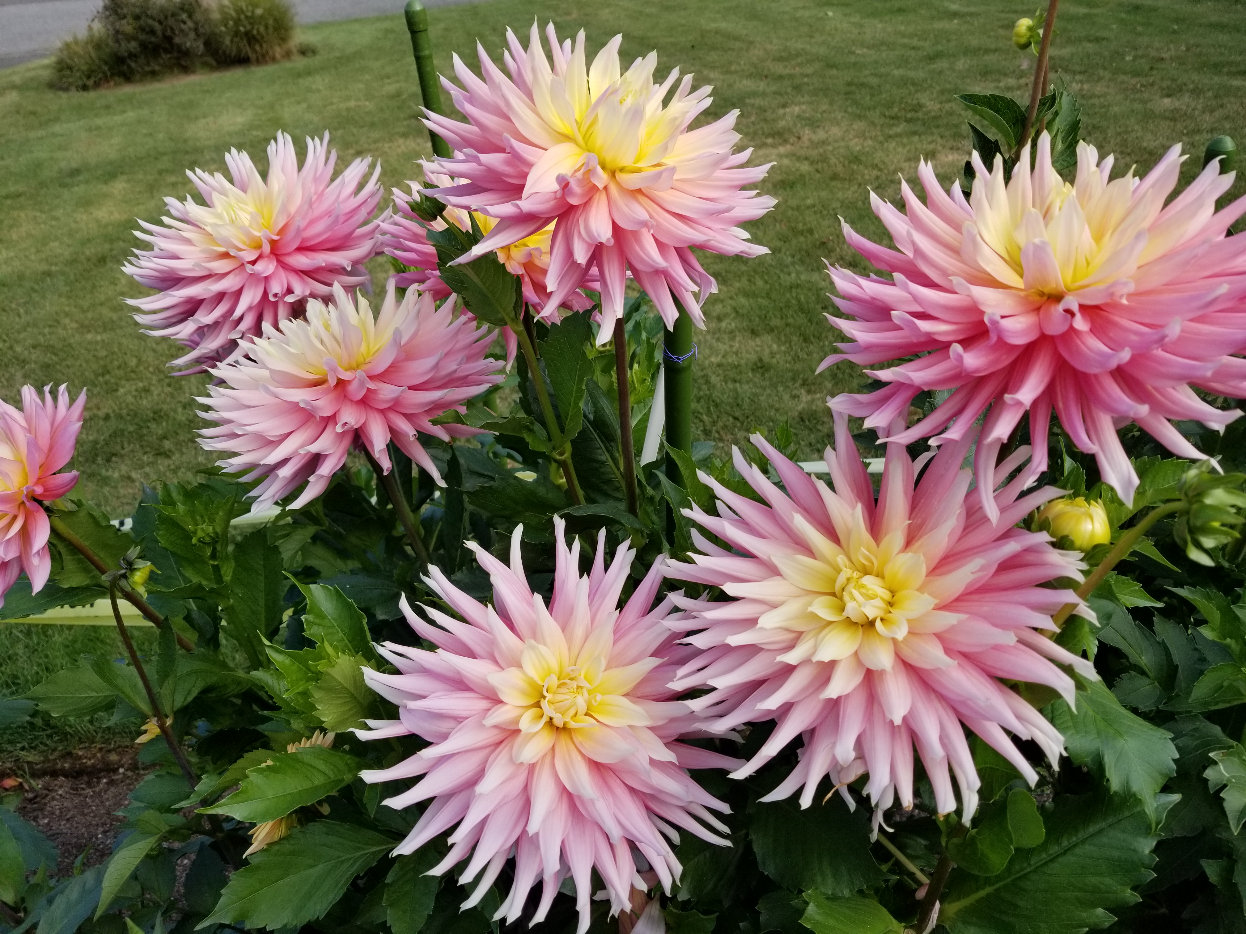 2020-09-20 10.38.26 (1).jpg