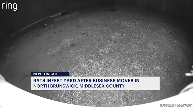 Story image: North Brunswick couple says rats have infested their yard after new business moves in