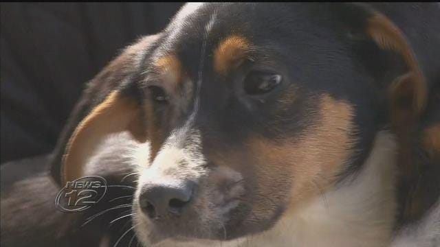 Article 138805 Thumbnail