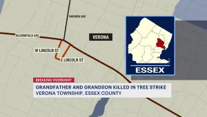Police: Grandfather, 6-month-old grandson killed by fallen tree in Verona