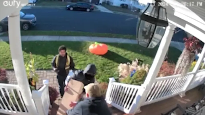 Story image: Caught on camera: Porch pirate strikes mid-delivery in Massapequa Park