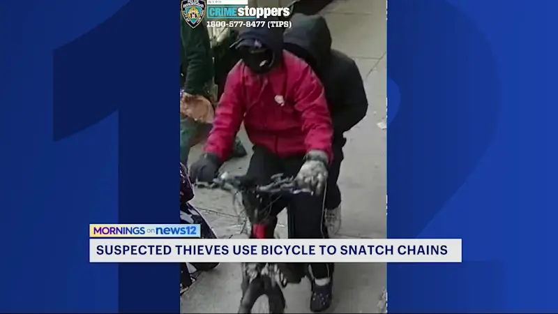 Story image: Police: 2 people sought in chain-snatching thefts following 6 incidents in The Bronx