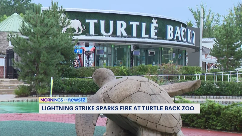 Story image: Officials: Lightning strike causes fire at Essex County Turtle Back Zoo