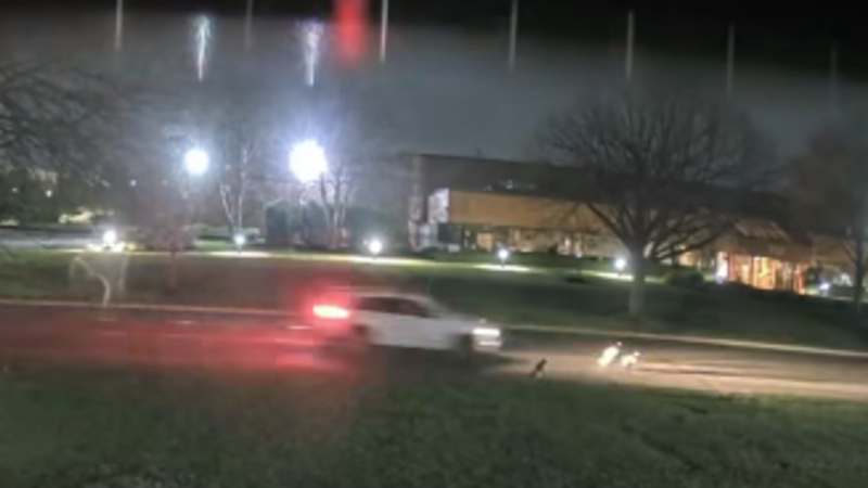 Story image: SPCA raises reward to $7,500 for information on 'gruesome' geese attacks in Hauppauge