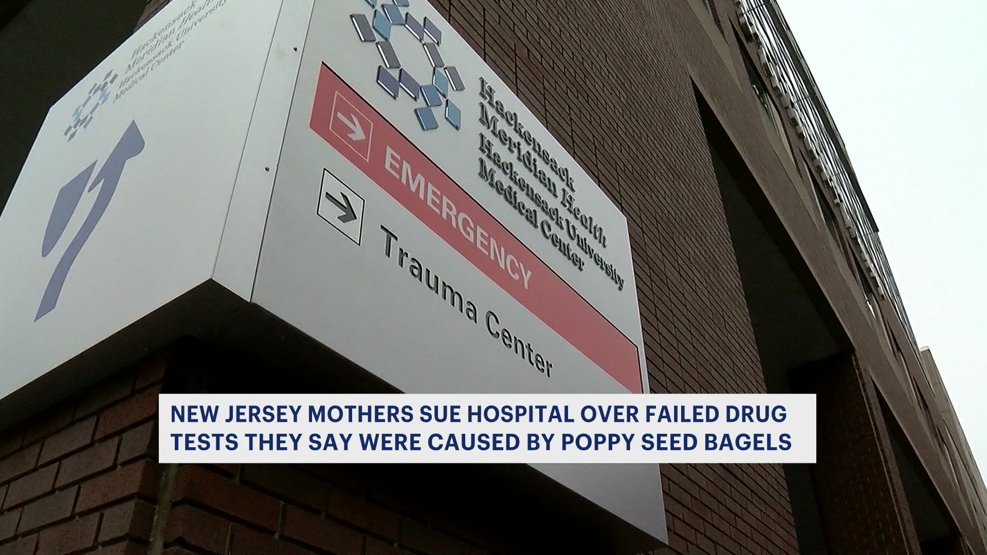 Mothers file lawsuit claiming poppyseeded bagels caused them to fail