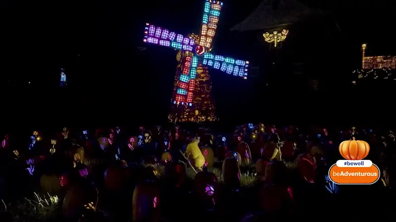 Story image: Behind-the-scenes look at The Great Jack O'Lantern Blaze
