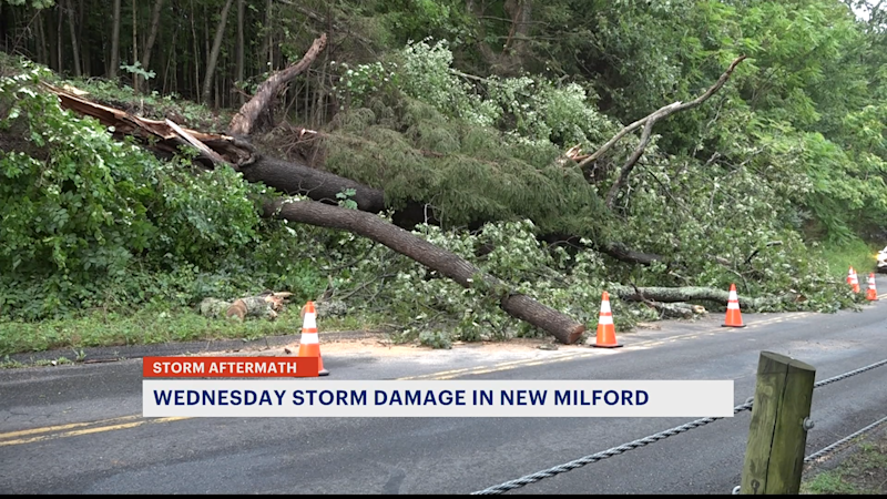 Story image: Storm downs trees and knocks out power in New Milford