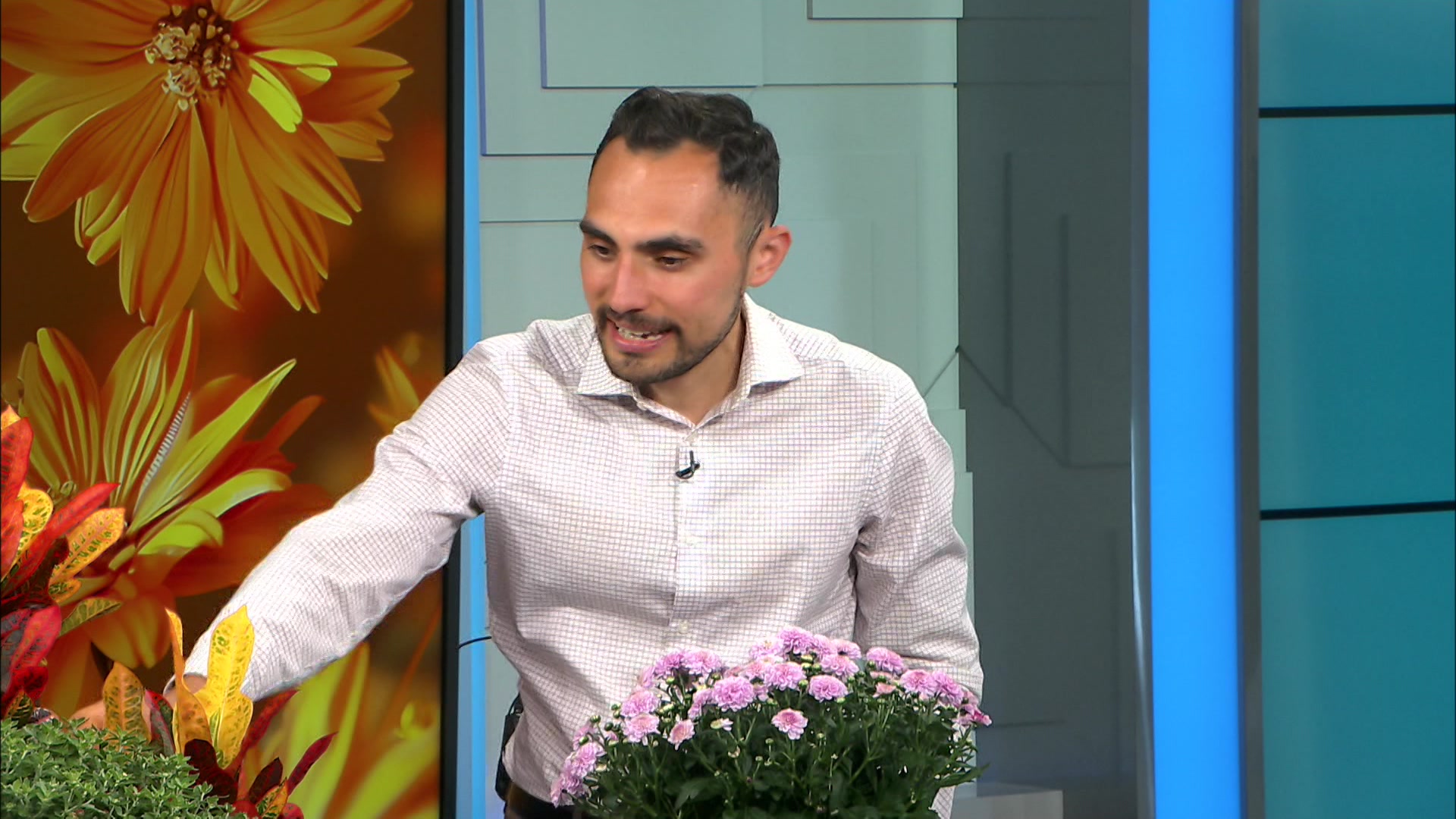 Garden Guide: Get your garden ready for the fall