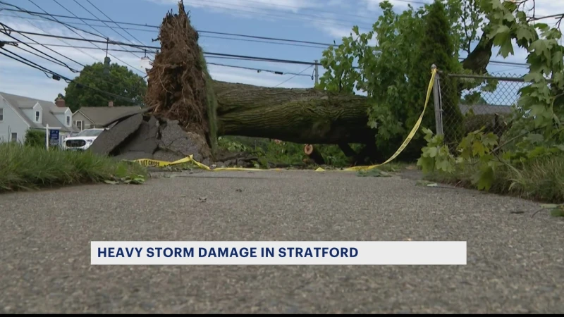 Story image: NWS looking at whether microburst caused Stratford storm damage