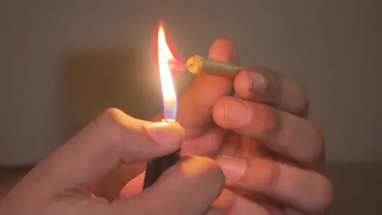 Article 305382 Thumbnail