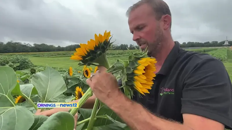 Story image: Family farm sows seeds of success in Cream Ridge