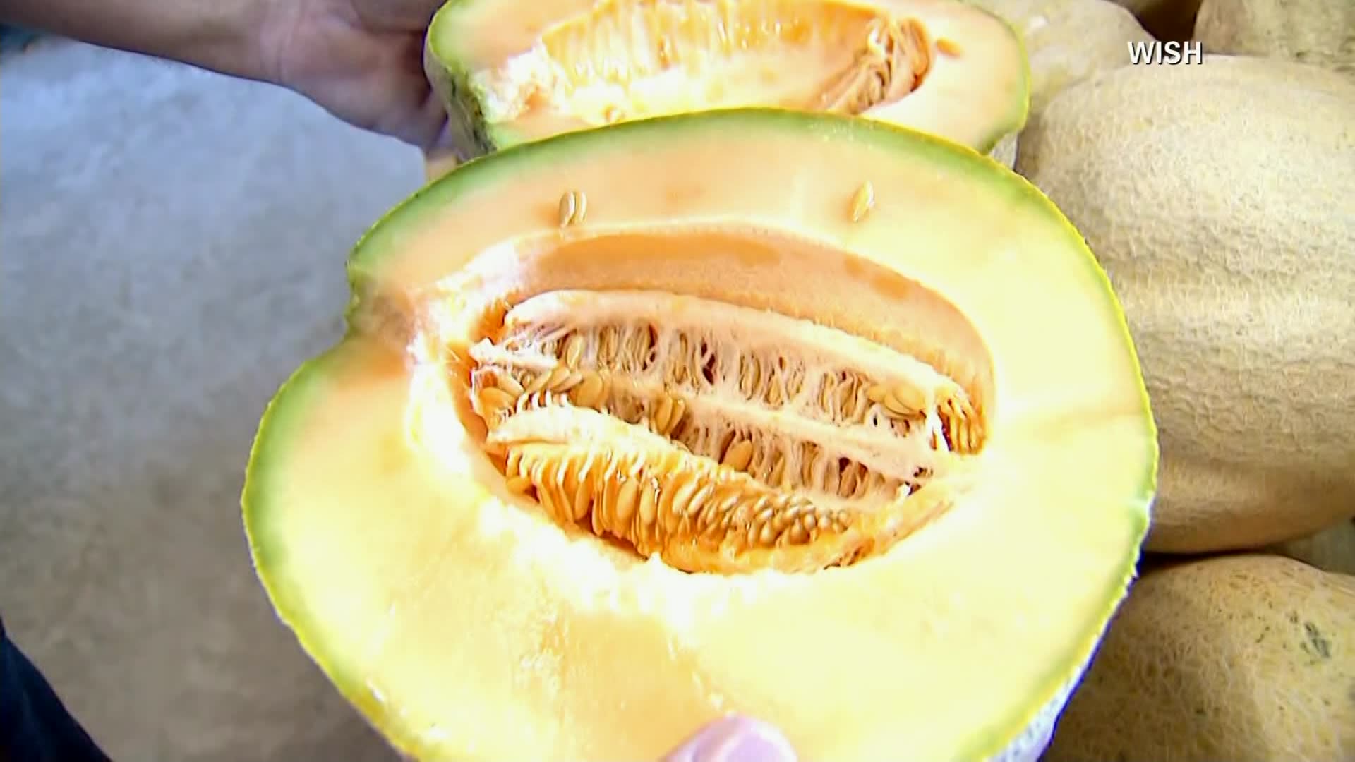 CDC declares end to cantaloupe salmonella outbreak