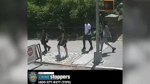 4 suspects target woman in Central Park for payment app scam
