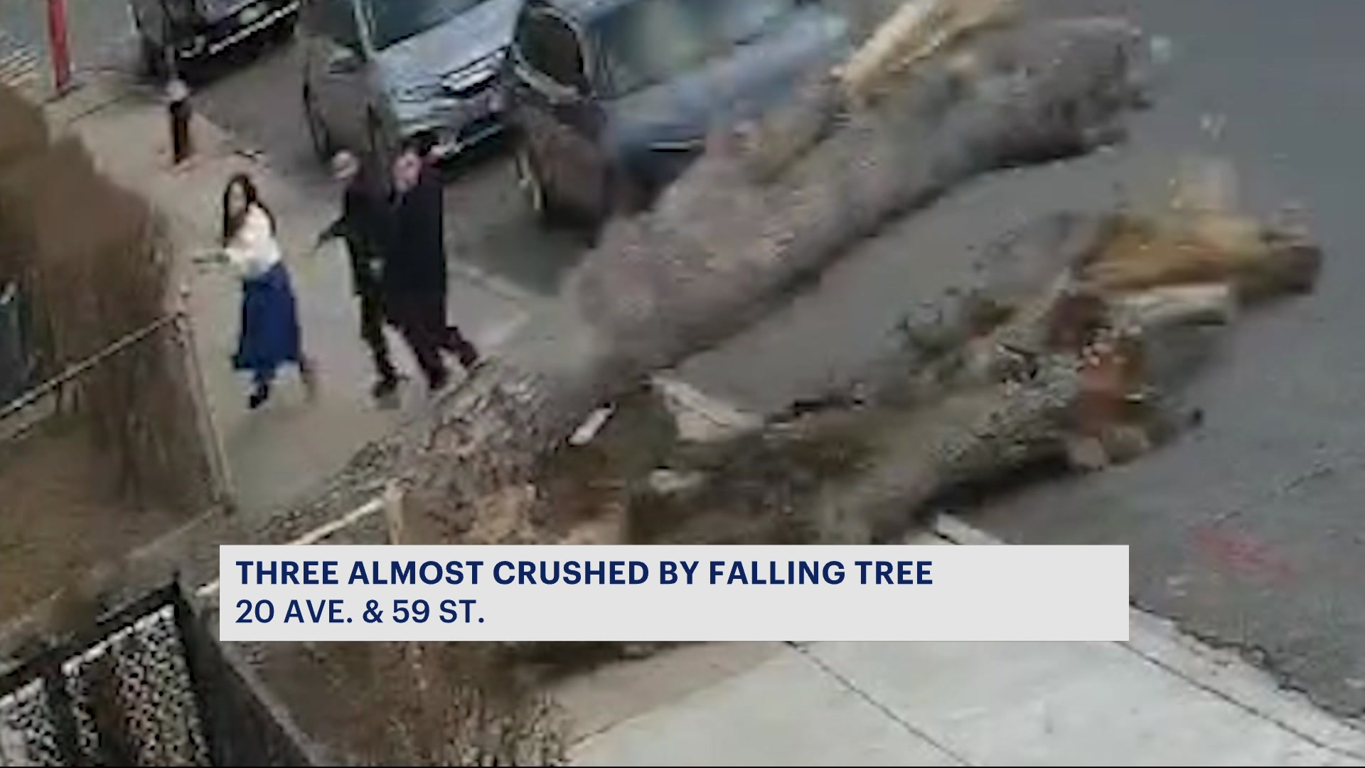 News 12 | New York | 3 people nearly crushed by falling tree in Brooklyn