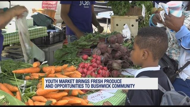 Article 134271 Thumbnail