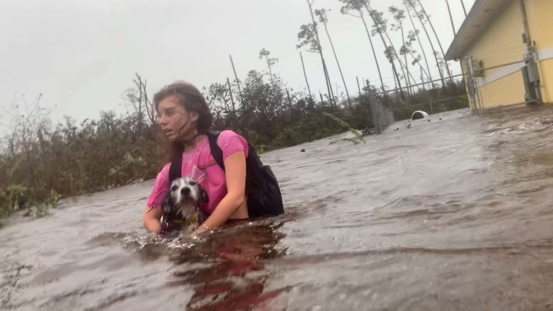 Article 267856 Hero Image