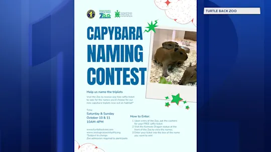 capybaranames_2026-10-08-12-48-15