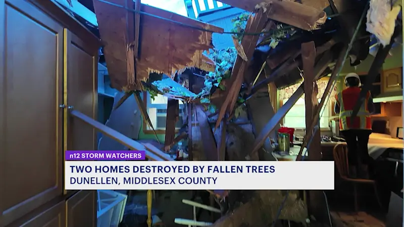 Story image: 2 homes in Dunellen destroyed by massive fallen trees during deadly storms