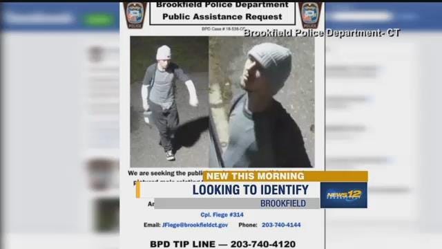 Article 146399 Thumbnail