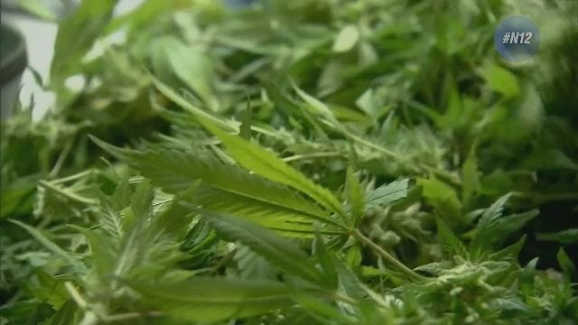 Article 108802 Thumbnail