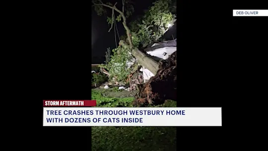 LITREEWESTBURYHOUSE81126_2026-08-11-05-13-04