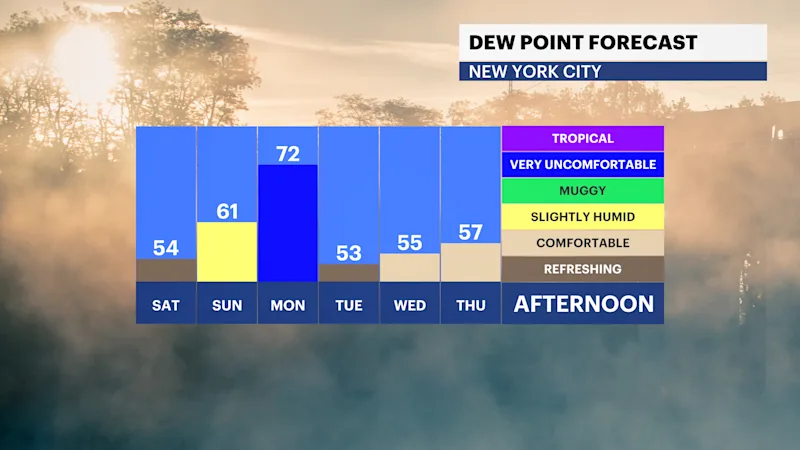 FB_Dewpoint_Daily.png