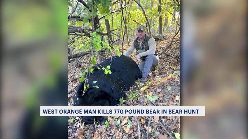 Story image: West Orange hunter sets New Jersey state record with 770-pound bear