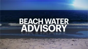 5 New Jersey beaches under water quality advisory due to traces of fecal bacteria