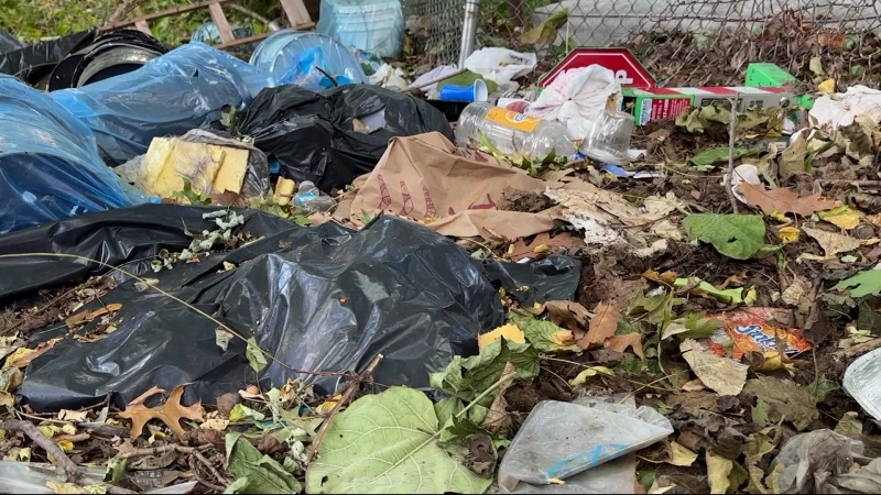 Story image: Trash and rats fill Highbridge street amid construction concerns