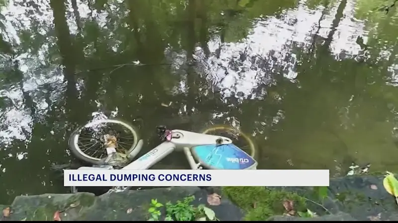Story image: Community group sounds alarm on e-vehicle dumping in the Bronx River