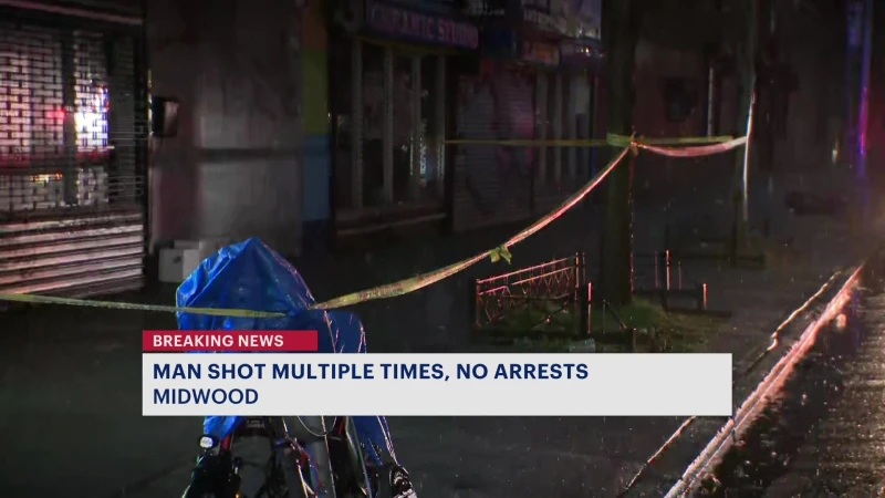 Story image: NYPD: Man shot 4 times in the leg in Midwood; shooter at large