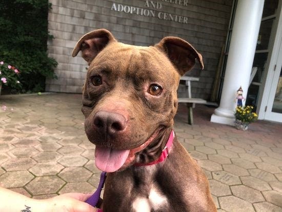 Article 147548 Thumbnail